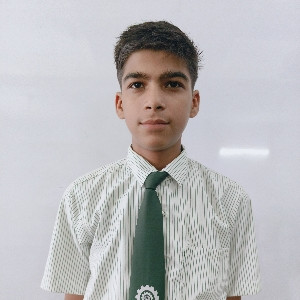 Alkesh Meena