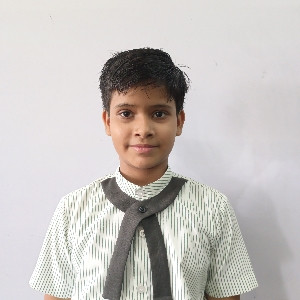Manvi