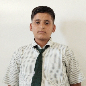 Ankit Sahu