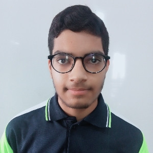 Hardik Mothasara
