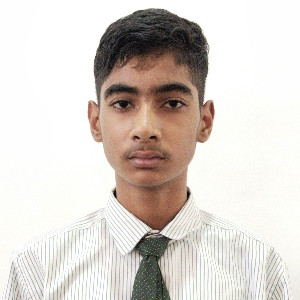 Anirudh Pareek