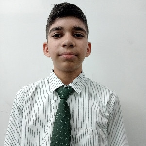 Piyush Pilania